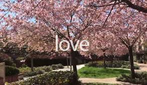"Love" 
